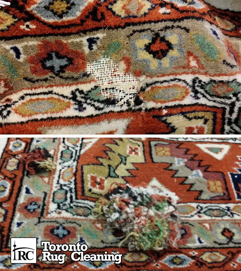 Persian & Oriental Rug Moth Proofing